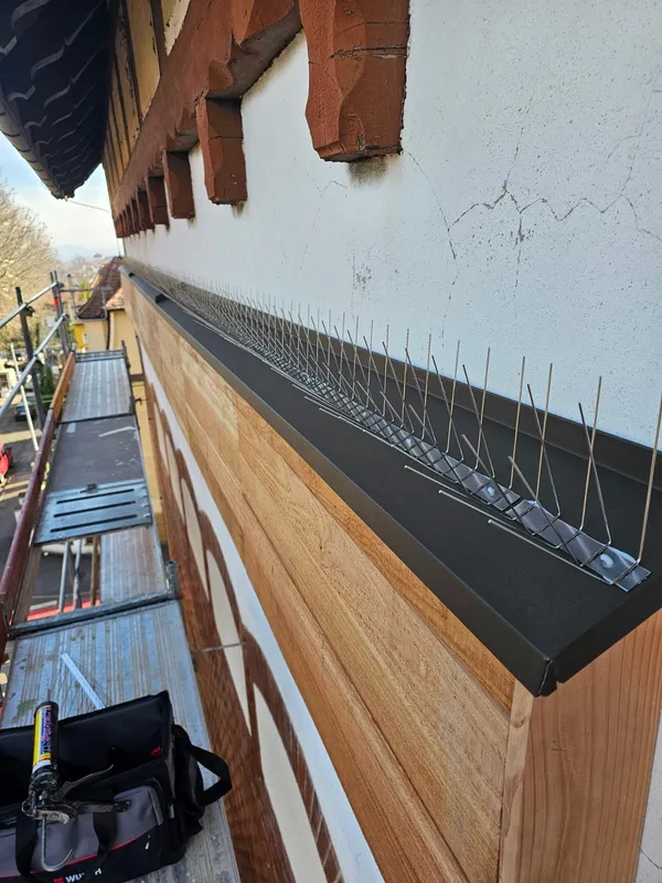 Montage von Taubenabwehrspitzen auf Fledermauskästen in Ludwigsburg