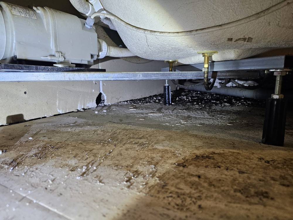 Rattenbefall hinter einem Whirlpool in Esslingen Hauptbild